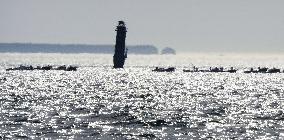 Kelp-harvesting boats, lighthouse loom off Hokkaido under morning sun
