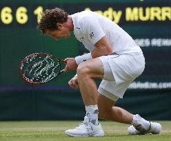 Murray at Wimbledon