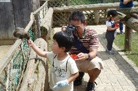 Boy feeds squirrel at park in western Japan