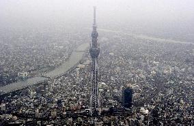 Tokyo Sky Tree tops 600 meters