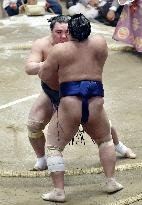 Yokozuna Harumafuji unbeaten at summer sumo in Tokyo
