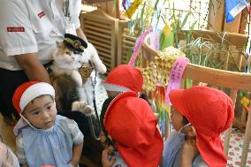 Cat stationmaster joins Tanabata Festival
