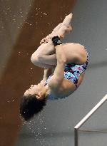 Diving World Series