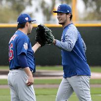 Baseball: Cubs' Darvish, Tazawa at spring training