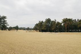 Tokyo Olympics golf venue