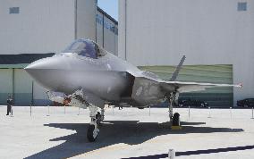 Japanese F-35 fighter jet
