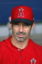 Baseball: Angels manager Brad Ausmus