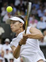 Pironkova vs Zvonareva at Wimbledon semifinals