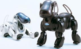 Sony starts accepting orders for new version of robot dog Aibo