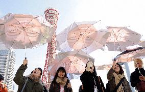 Smiles on umbrellas