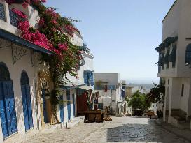 World snapshot: Tunisia struggles to win back tourists