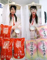 Akita Prefecture to launch 2 new rice products