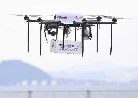 Drone delivers purchases in demonstration