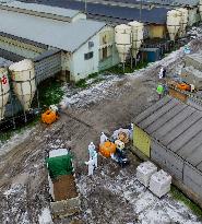 Chicken cull starts at another bird flu-hit farm in Japan