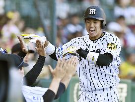Baseball: Umeno helps Tigers come from behind against CL-leading Carp