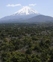 Mt. Fuji and forest