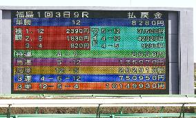 Horse racing betting produces highest return
