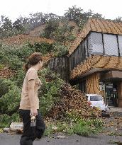 Heavy rain in Amami region