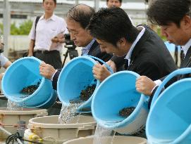 Fukuoka launches experiment to farm "sandless clam" on land