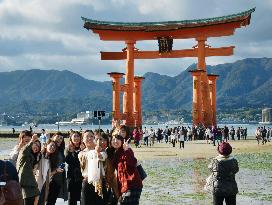 Western Japan city mulls taxing tourists to Miyajima