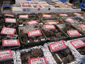FEATURE: New Year fish, sushi, and treading lightly at Tsukiji