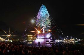 Giant Christmas tree in Kobe