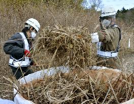 Radiation cleanup work begins in Fukushima nuclear plant town