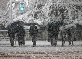 Heavy snowfall hits Tokyo