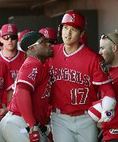 Baseball: Ohtani's DH debut in spring training