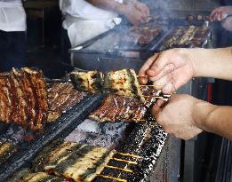 Eel-eating day in Japan