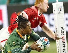 Rugby World Cup in Japan: S. Africa v Canada