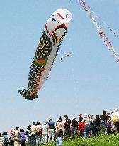 Jumbo carp streamer hoisted in Kazo, Saitama Prefecture