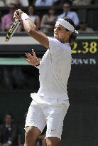 Nadal wins Wimbledon final