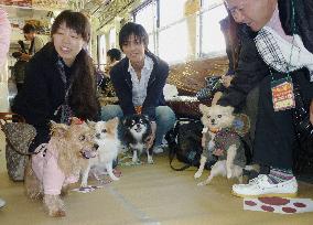 Train goes to dogs in Tokyo