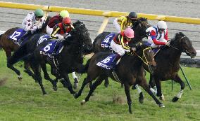 Buena Vista demoted in controversial Japan Cup as Rose Kingdom re