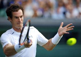 Murray at Wimbledon