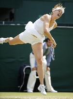 Sharapova reaches Wimbledon semifinal