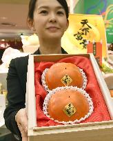 Pair of persimmons fetch 540,000 yen at auction