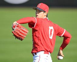Baseball: Angels' Ohtani