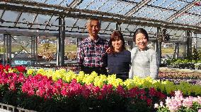 Japan's edible flower family adding color to culinary arts