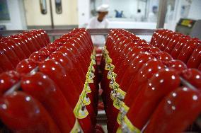 Ostrich farm in Pyongyang