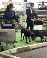 Haneda airport customs opens