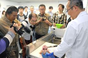 Fukushima invites consumers to event to dispel concern over local fish