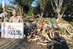 Man wins scarecrow contest with small dinosaurs