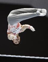 Gymnastics: Uchimura wins horizontal bar at nat'l apparatus c'ships
