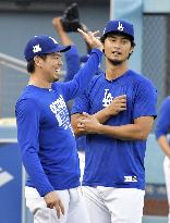 Baseball: Dodgers' Darvish to start Game 3 of NLCS vs Cubs