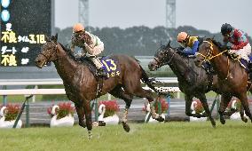 Horse racing: Kiseki wins Kikka-sho