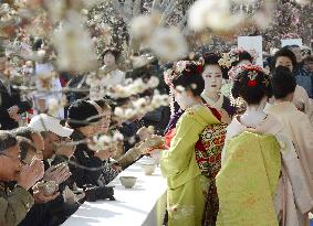 Plum tree festival in Kyoto