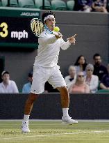 Tennis: Wimbledon championships