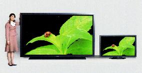 Matsushita devises world's largest plasma-panel TV